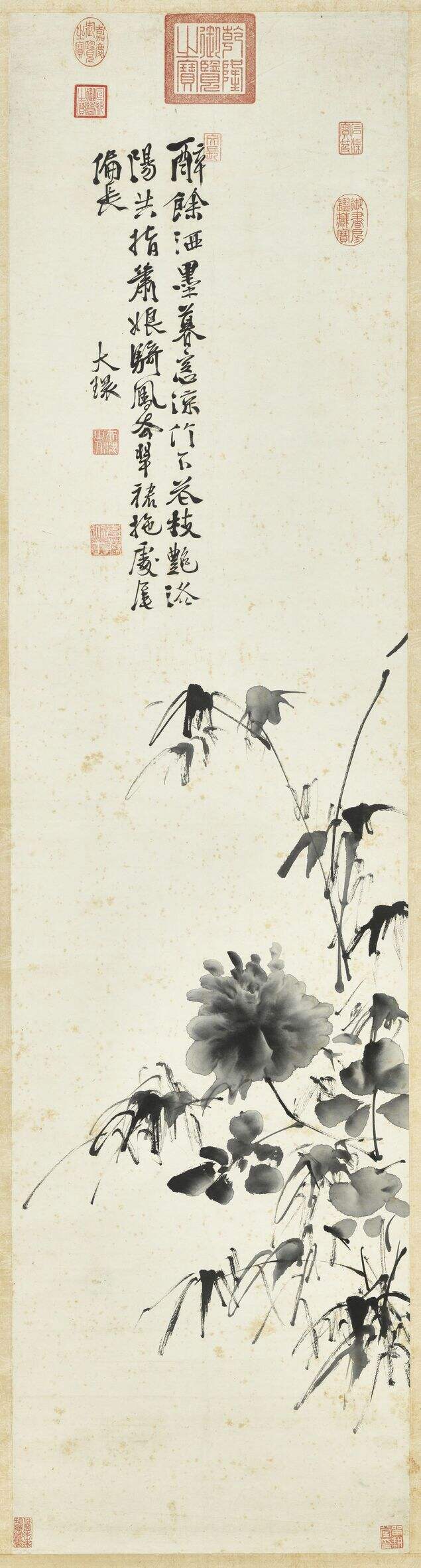 牡丹缩略图