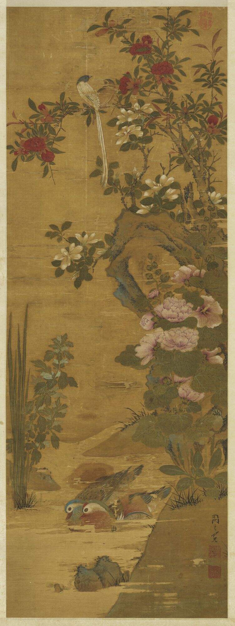 天中佳卉图缩略图