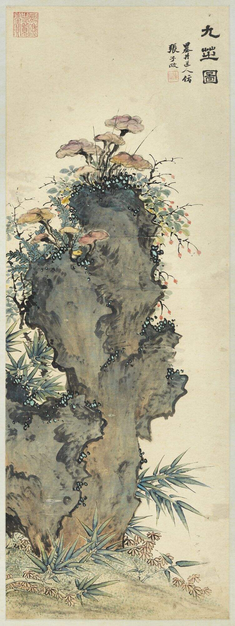 九芝图缩略图