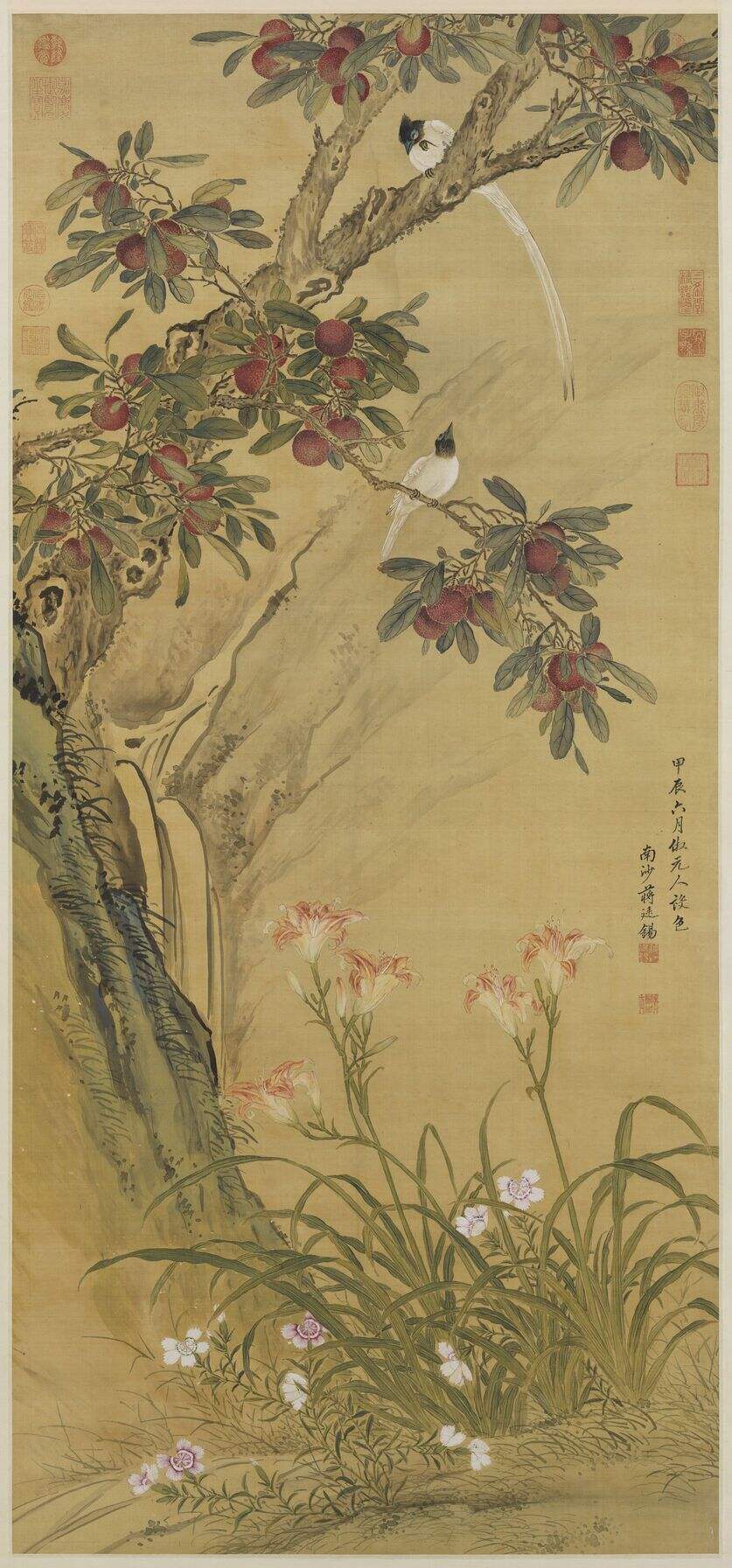 杨梅练雀图缩略图