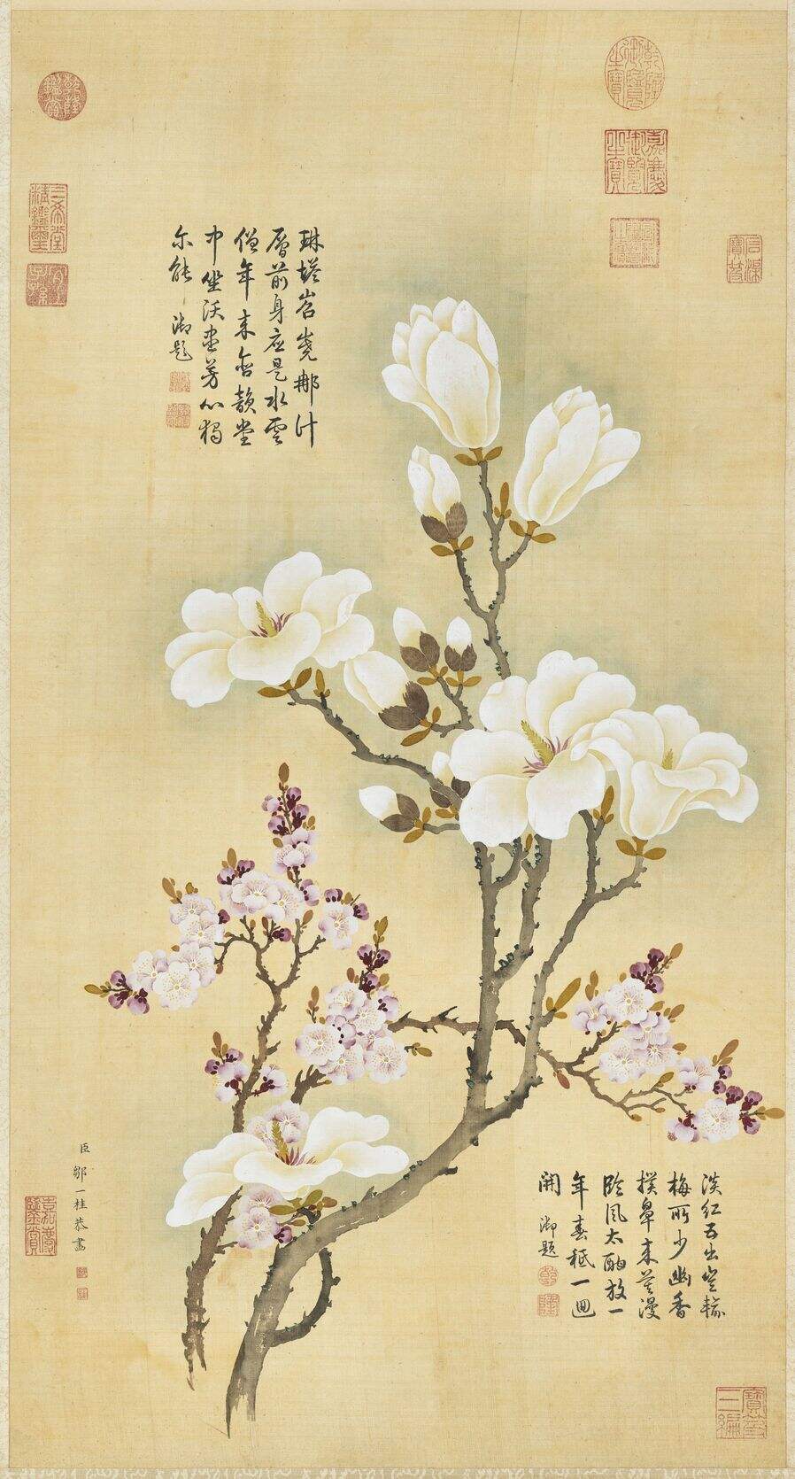 玉兰红杏图缩略图