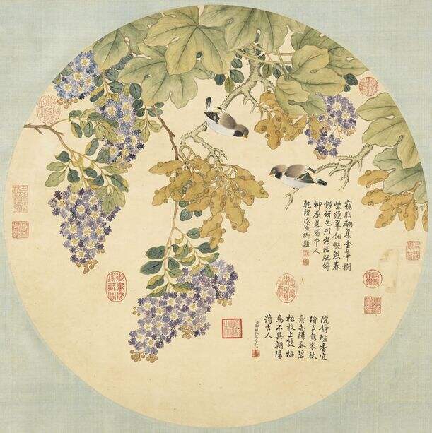 梧桐紫薇图缩略图