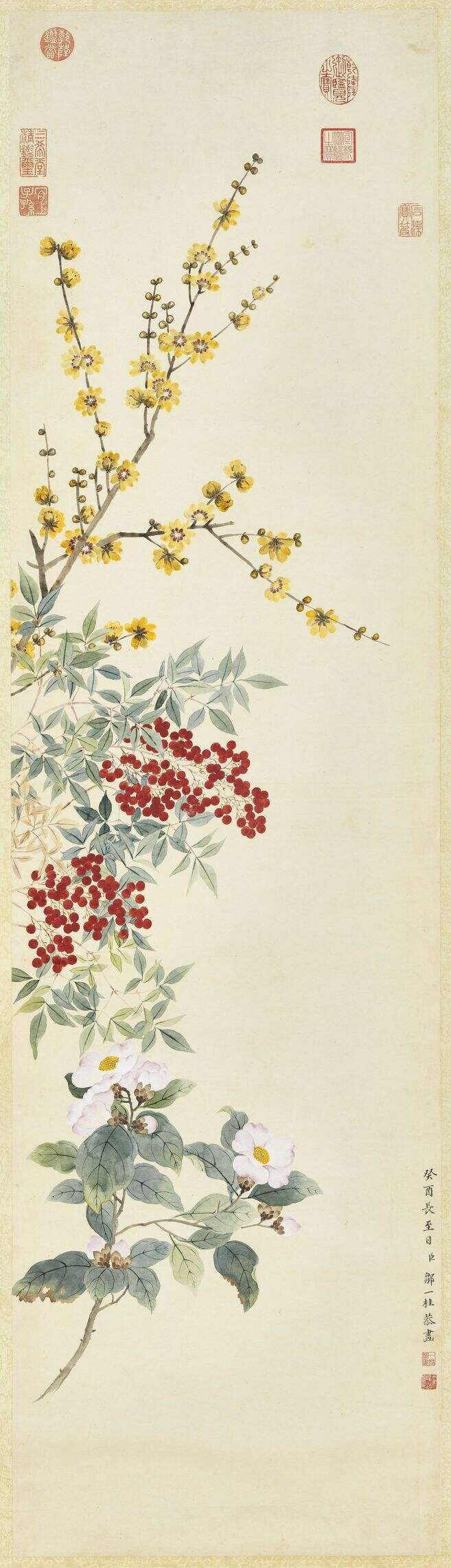蜡梅天竺山茶图缩略图