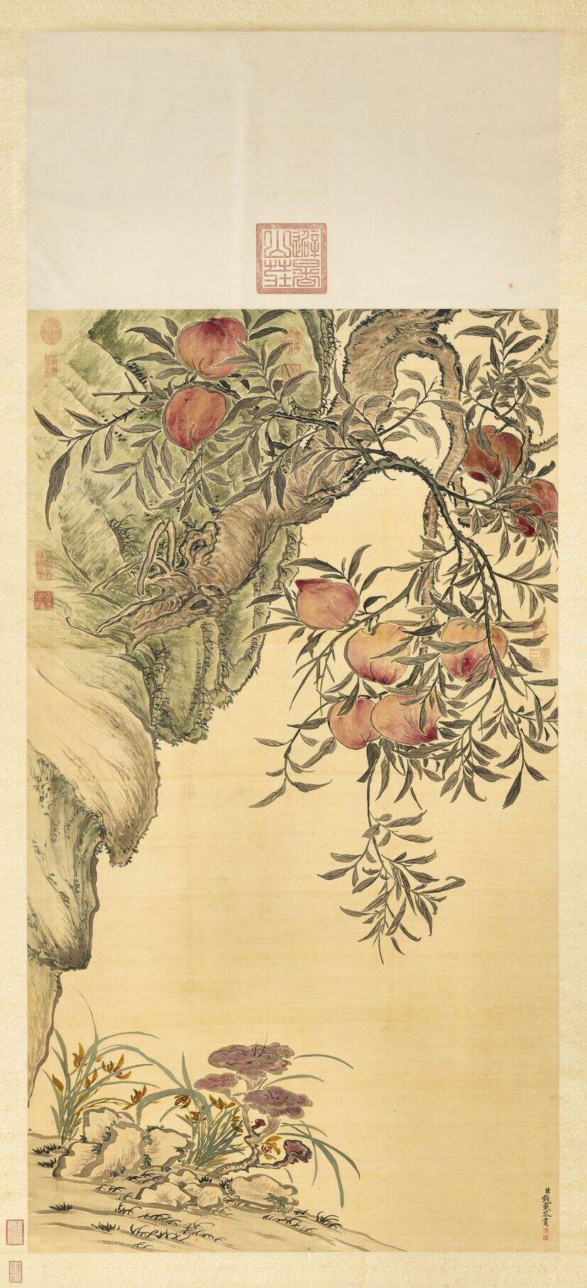 蟠桃苓芝图缩略图