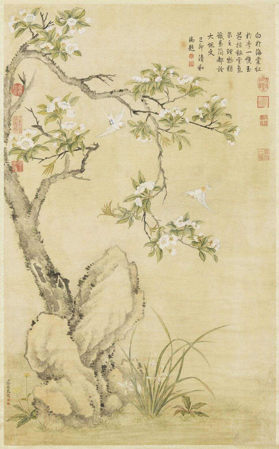 梨花白燕高宗御题图缩略图