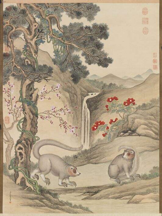 山猫图缩略图