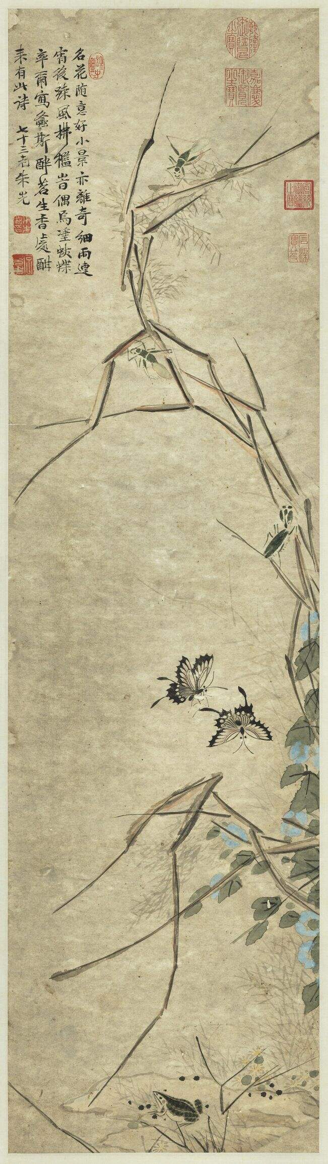 草虫图缩略图