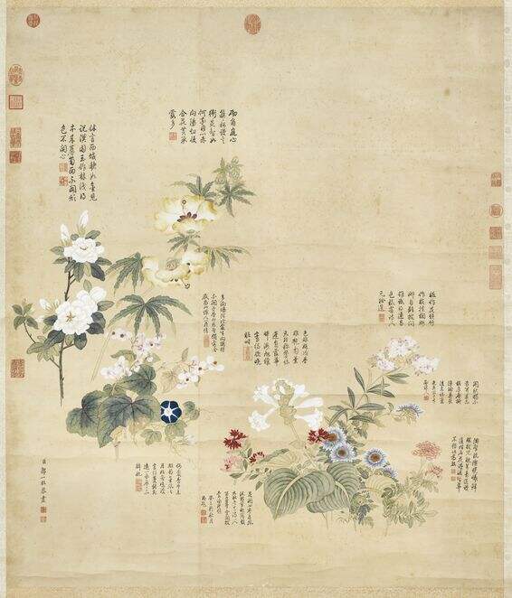 秋花九种图缩略图