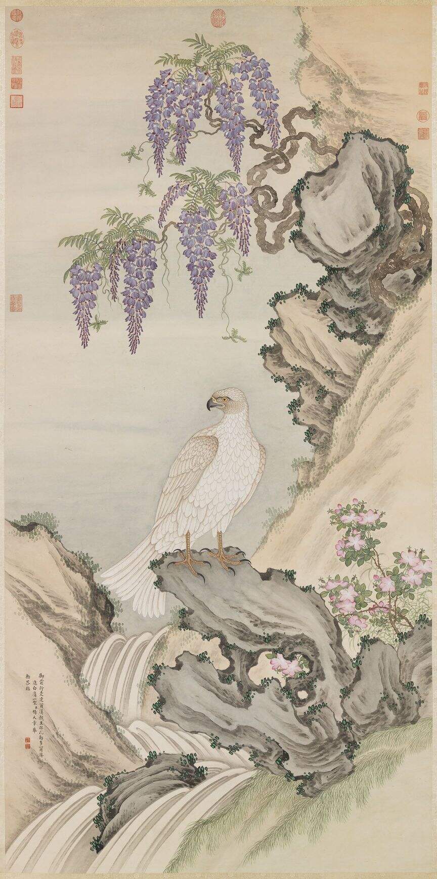 白鹰图缩略图