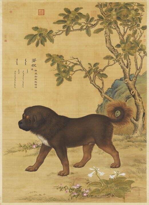 十骏犬苍猊犬图缩略图