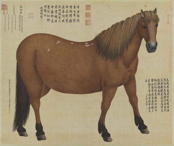 良吉黄图缩略图