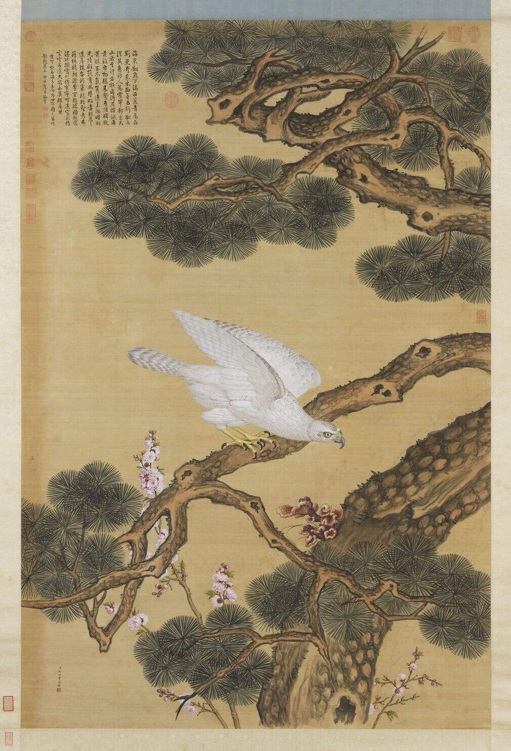 白海青图缩略图