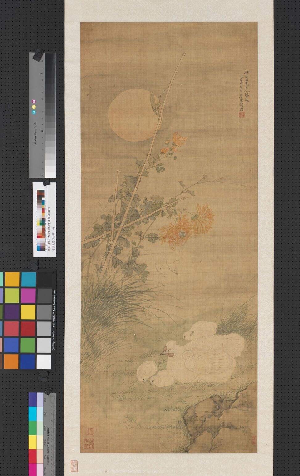 菊下鸡雏图缩略图