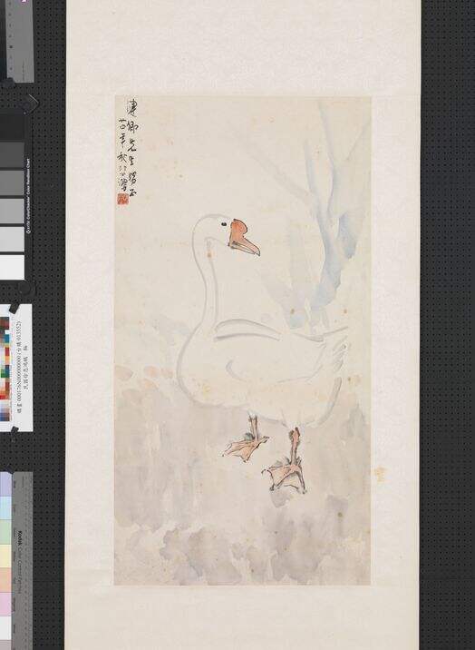 鹅图缩略图