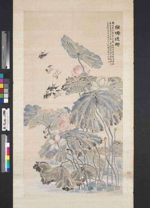 荷花图缩略图