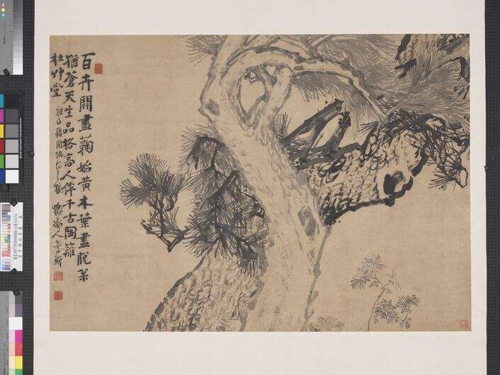 松菊图缩略图