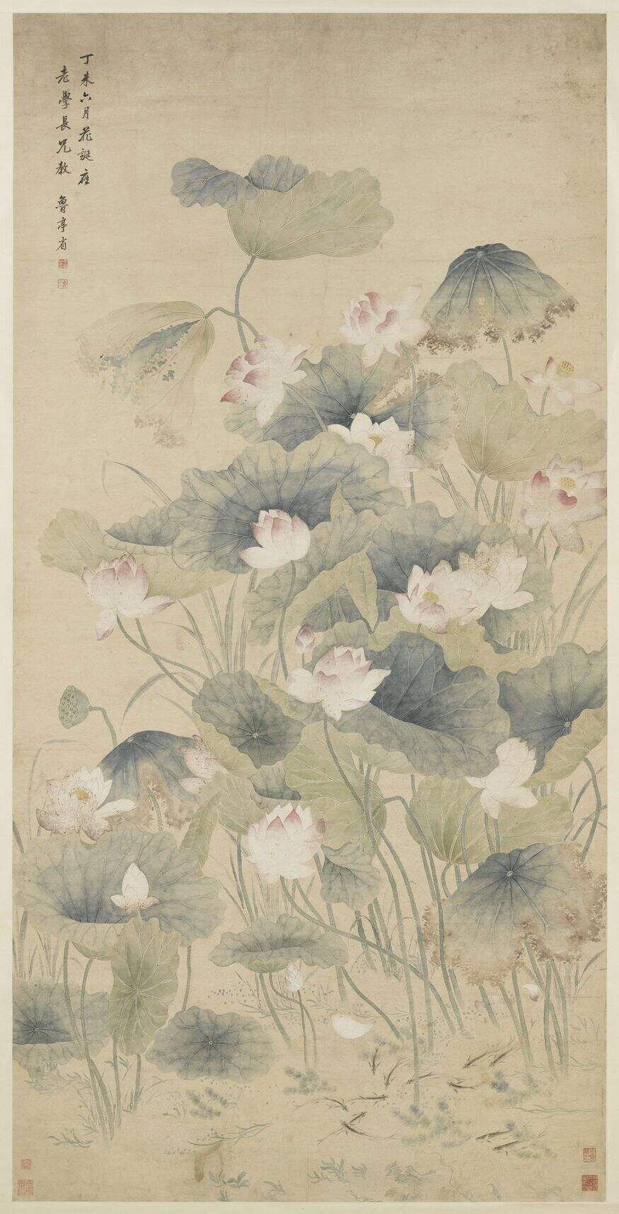 荷花图缩略图