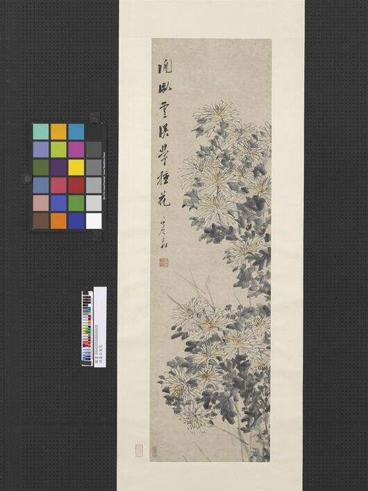 菊花图缩略图