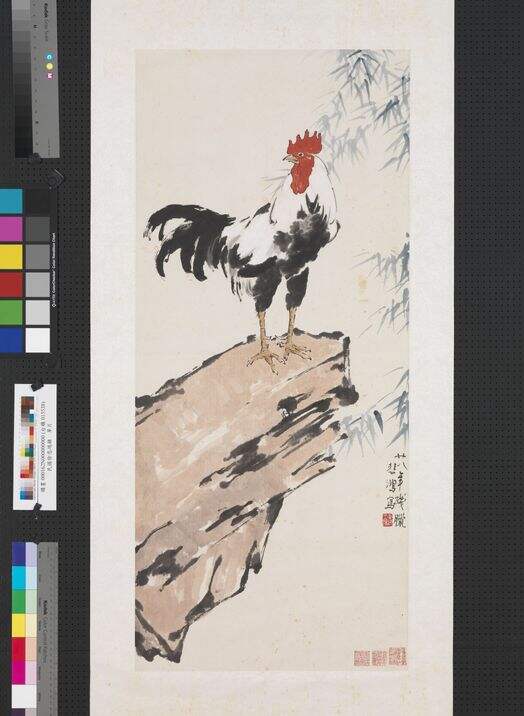 鸡单片缩略图
