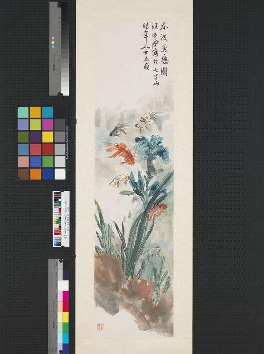 鱼乐图缩略图