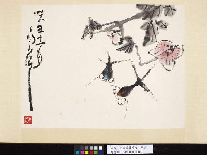 芙蓉蜻蜓单片图缩略图
