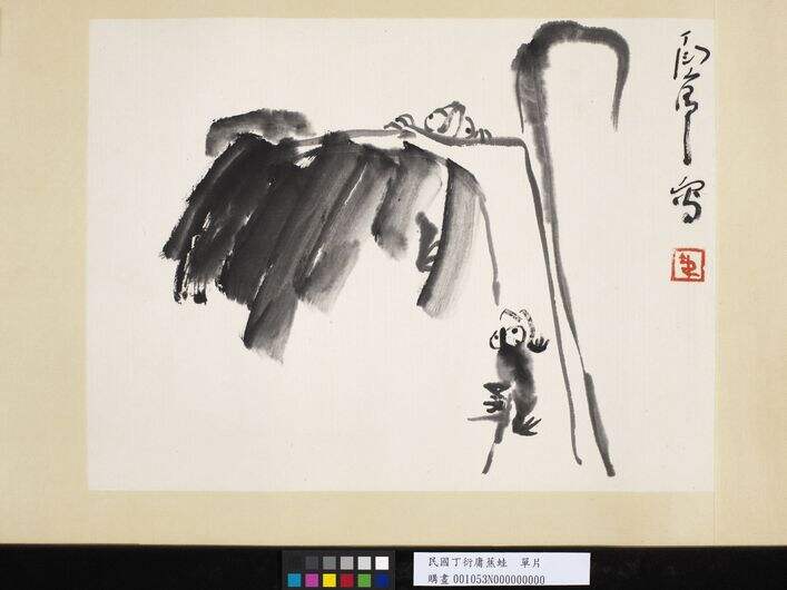 蕉蛙单片缩略图