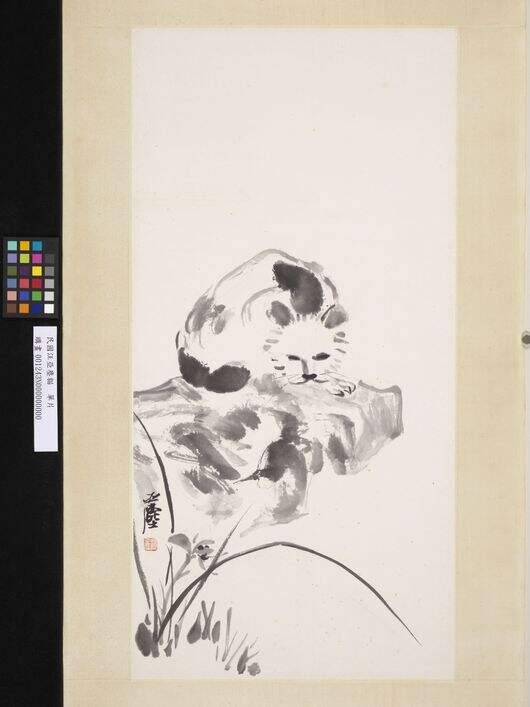 猫图缩略图