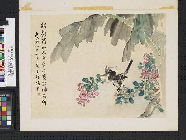 芭蕉翠鸟图缩略图