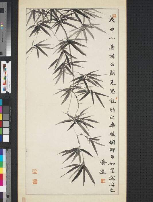 墨竹缩略图