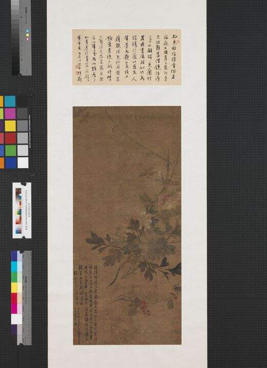 牡丹图缩略图