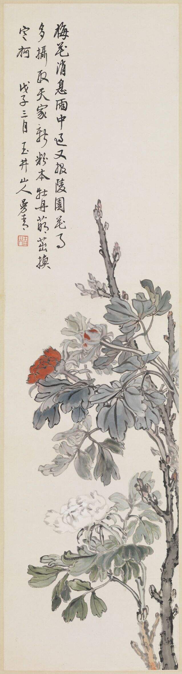 牡丹图缩略图