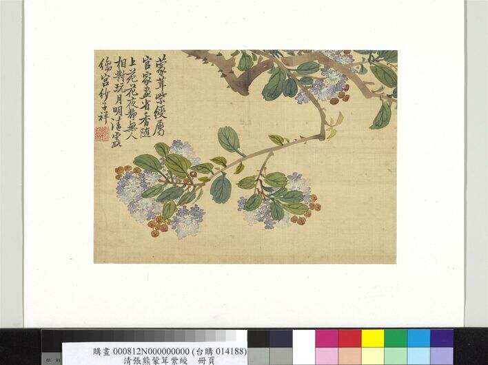 蒙茸紫绶图缩略图