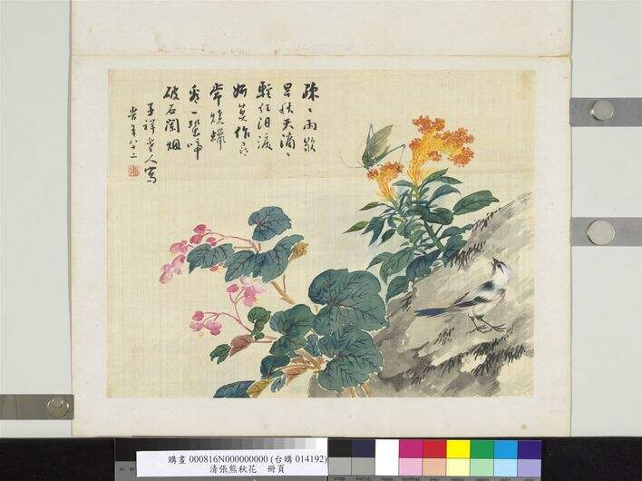 秋花图缩略图