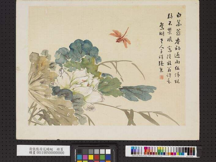 荷花蜻蜓图缩略图