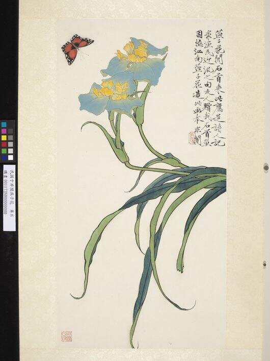 燕子花图缩略图