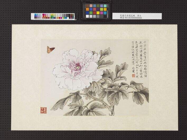 花蝶图缩略图