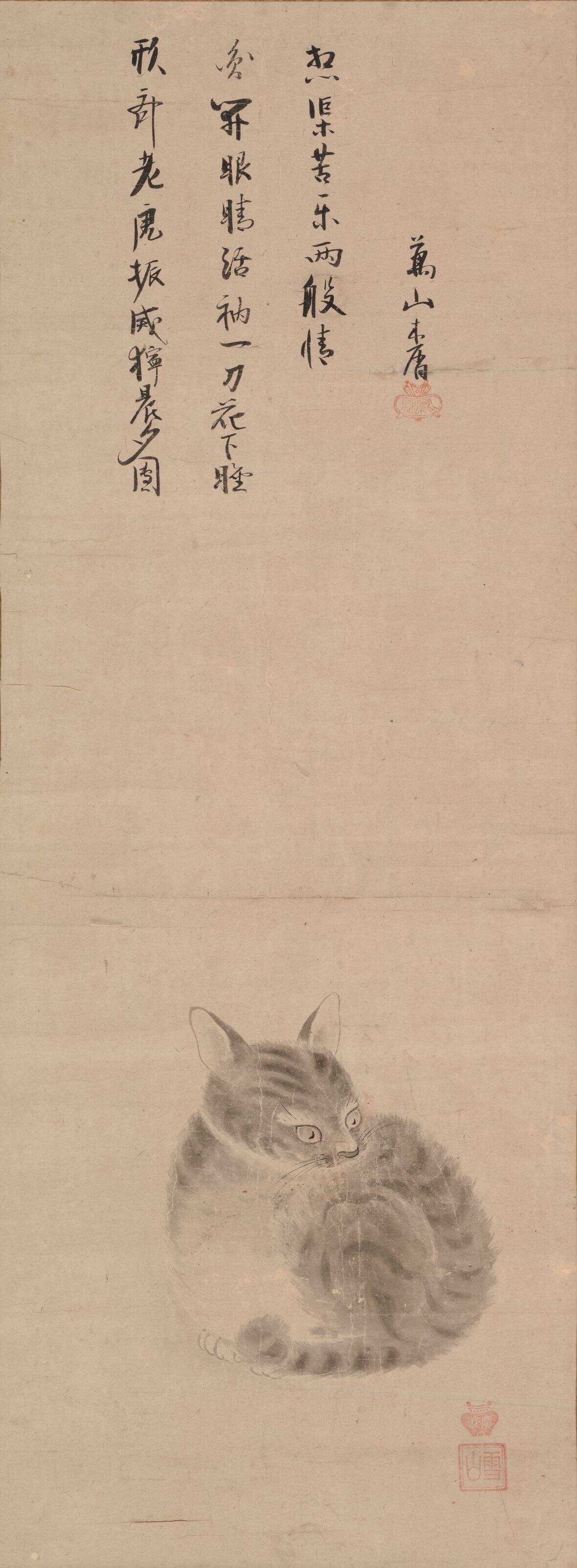 猫图缩略图