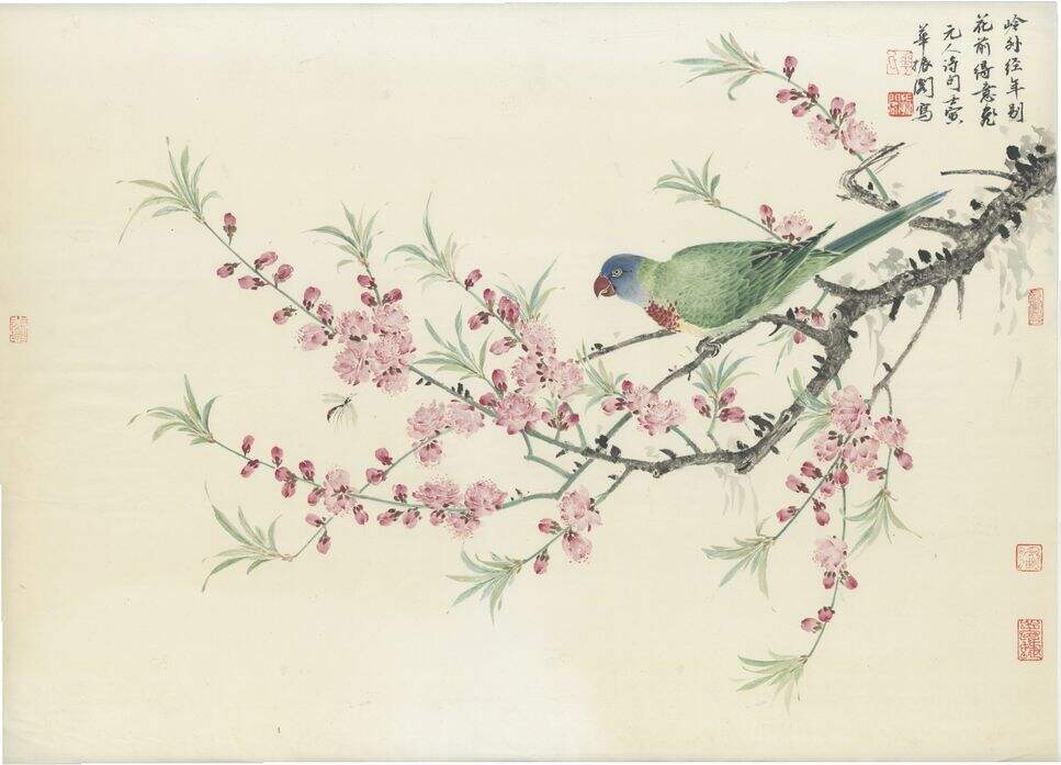 桃花鹦鹉图缩略图