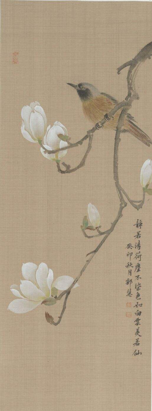 满庭芳.玉兰花缩略图