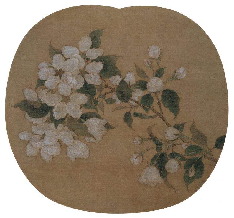 林檎花图缩略图