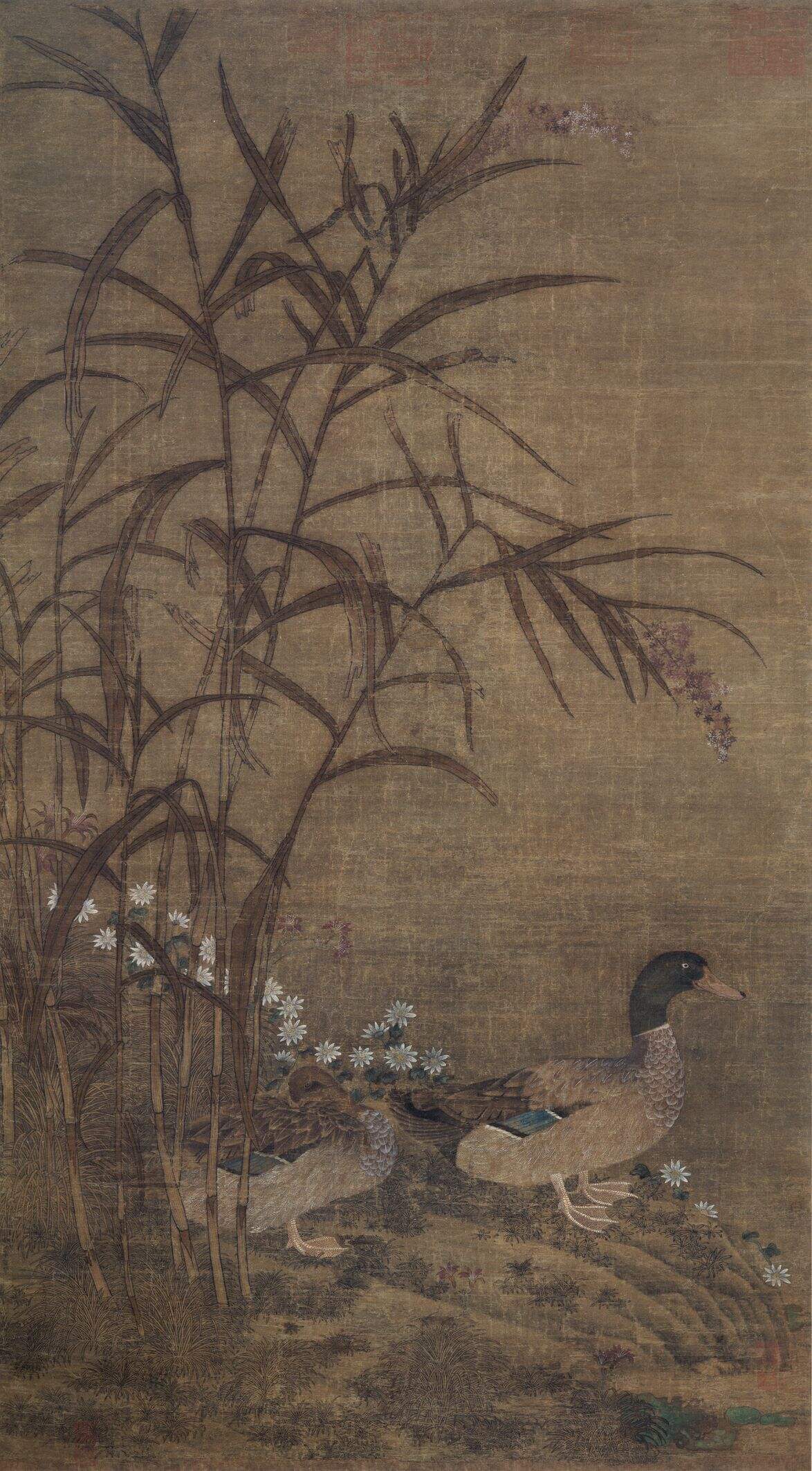 芦鸭图缩略图