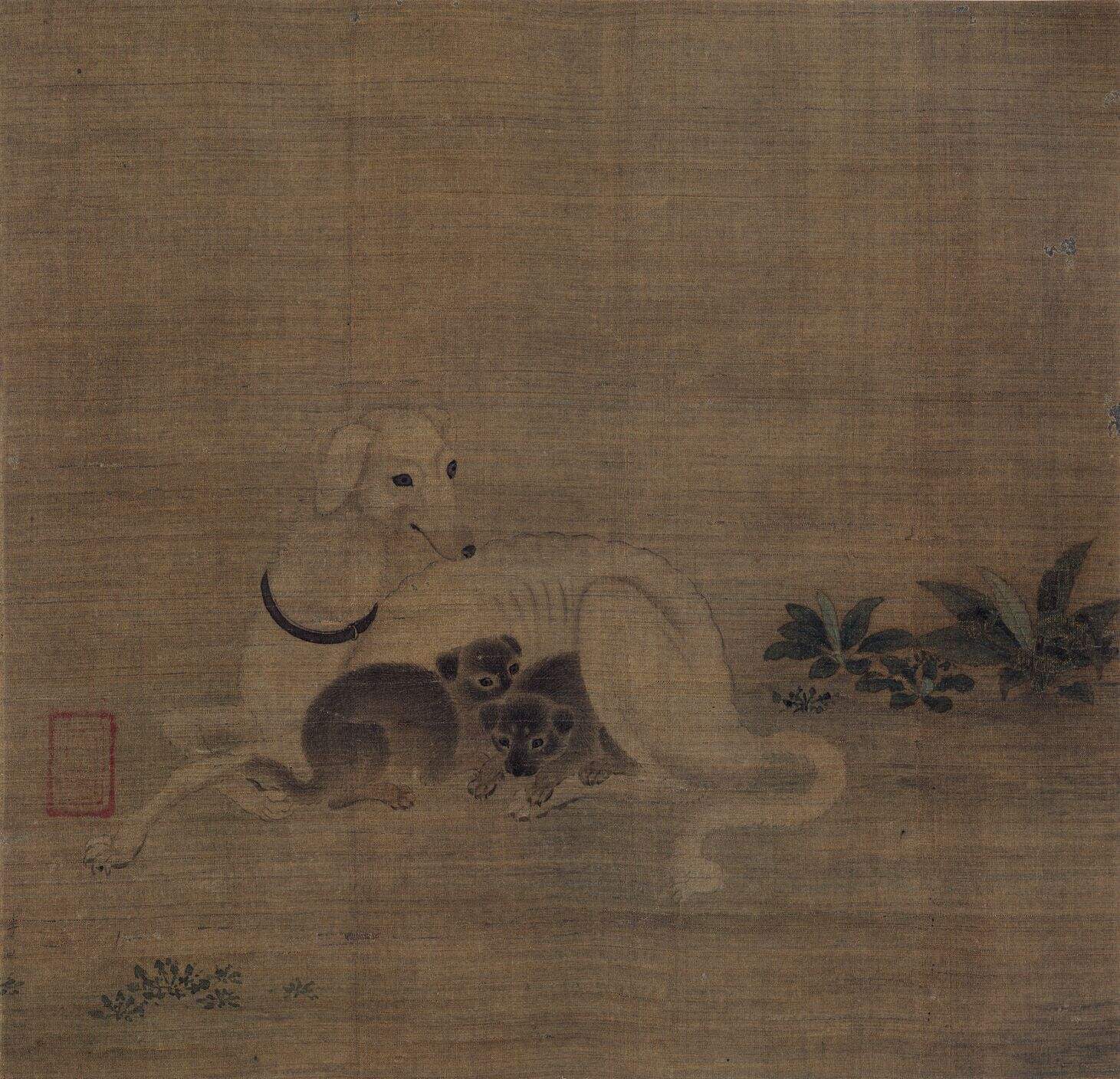 母子犬图缩略图