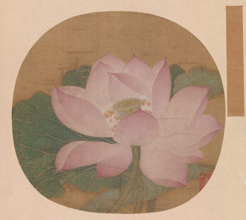 出水芙蓉图缩略图