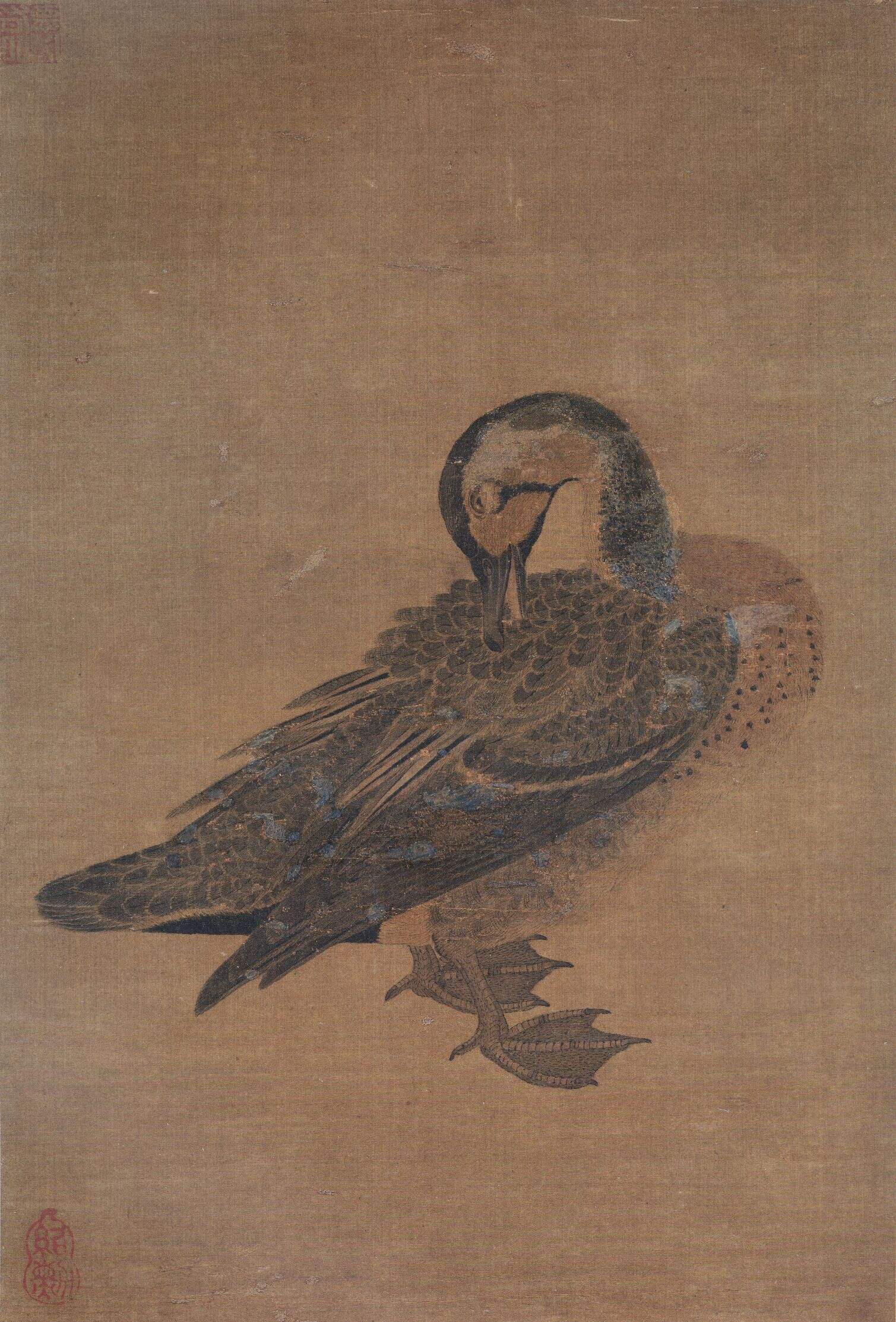 鸭图缩略图