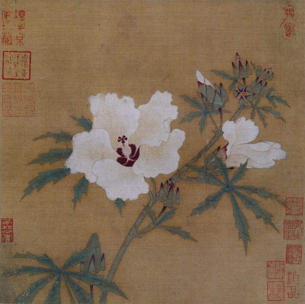 没骨画想参考的部分封面