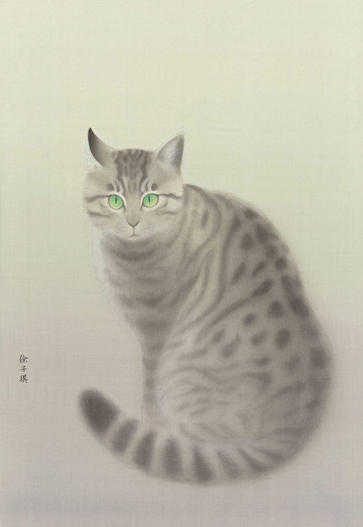 狸花猫王缩略图