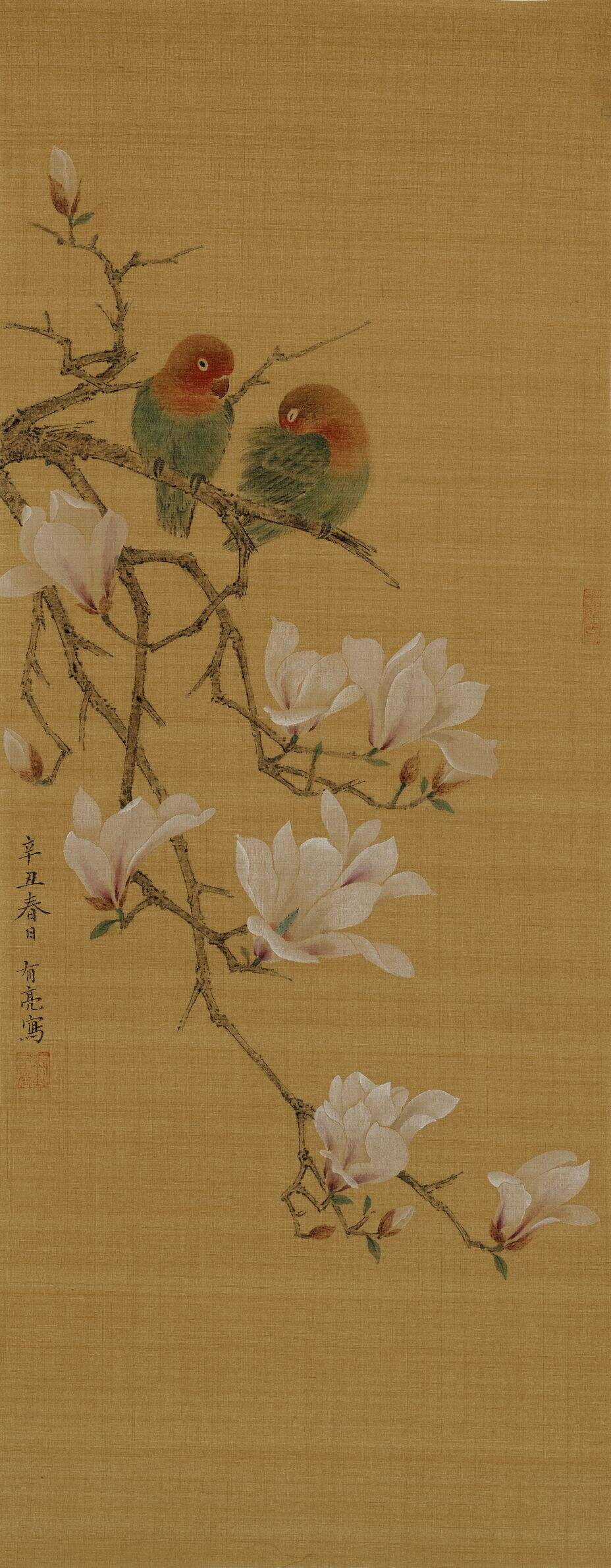玉兰鹦鹉缩略图
