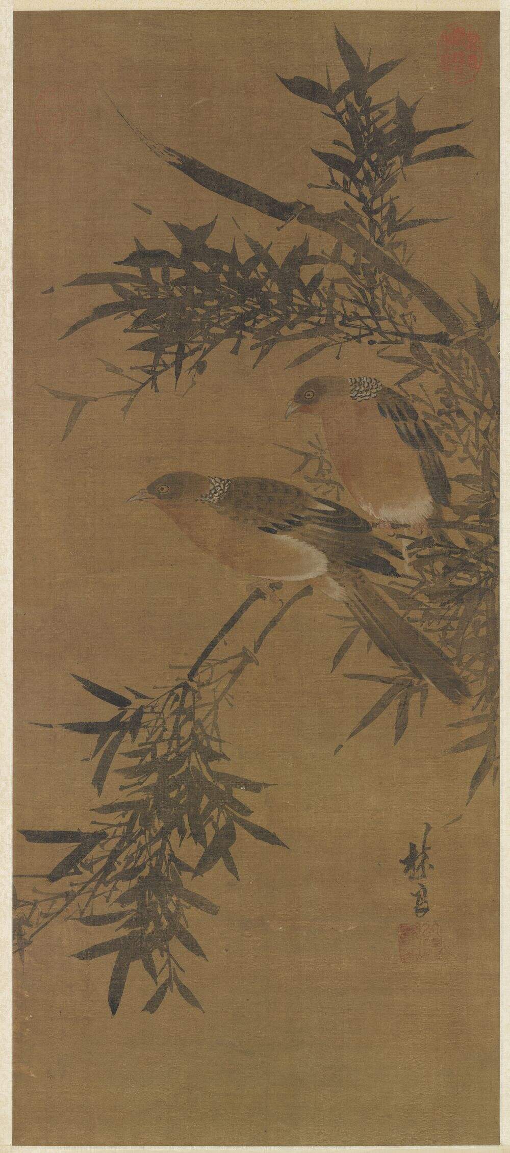 花鸟缩略图