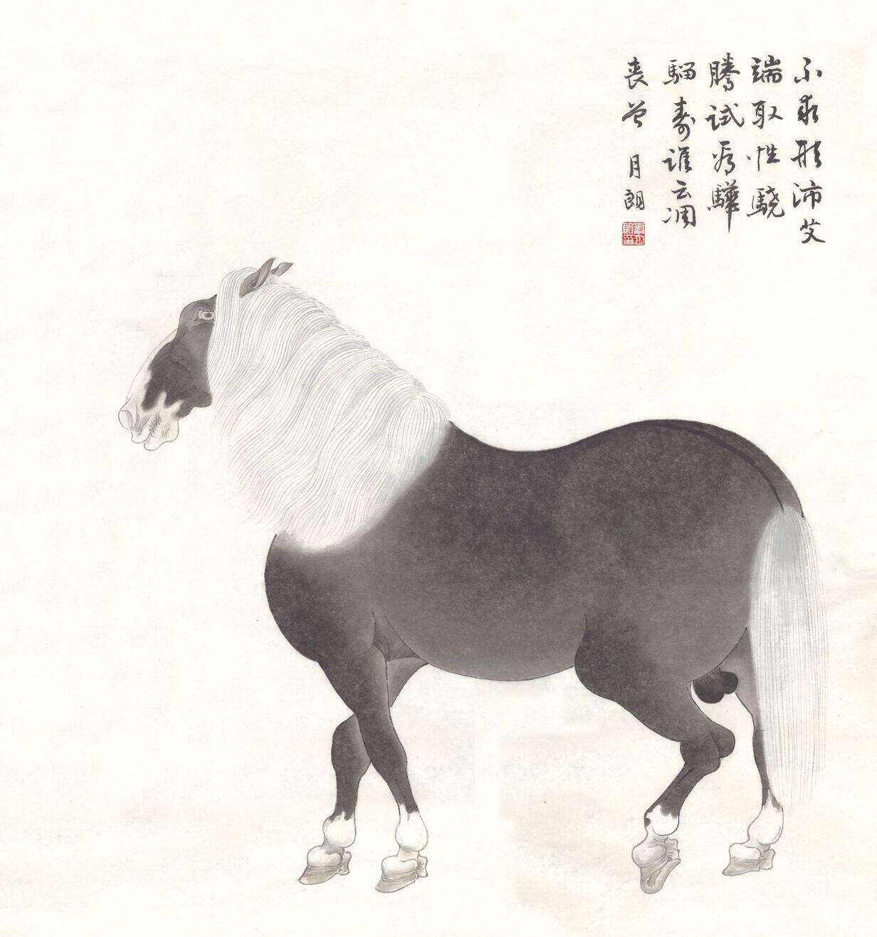 马性图缩略图