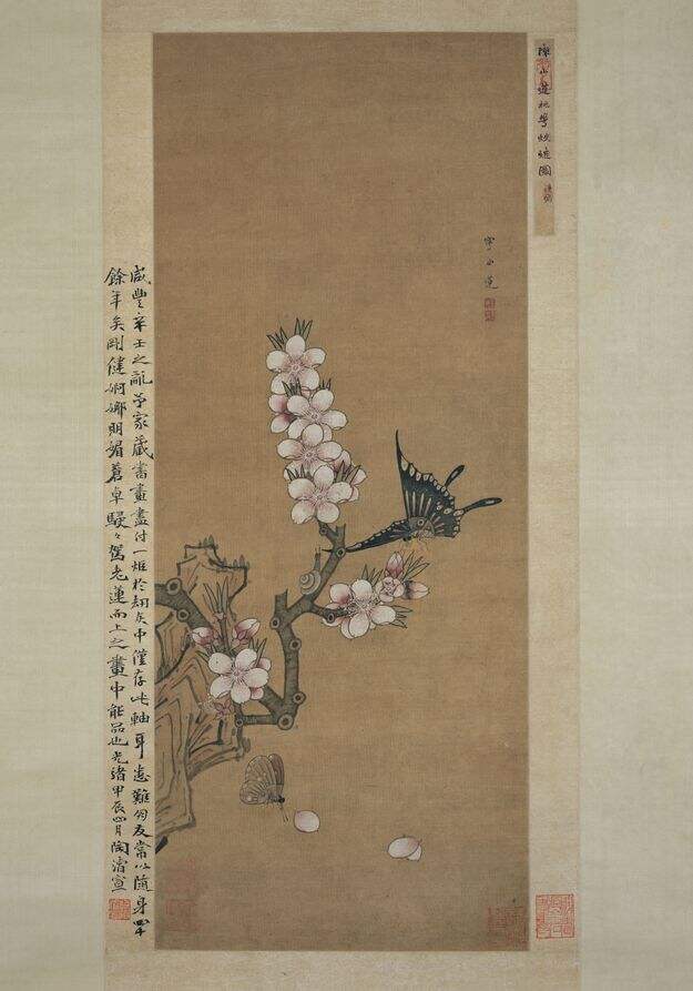 桃花蛱蝶图缩略图